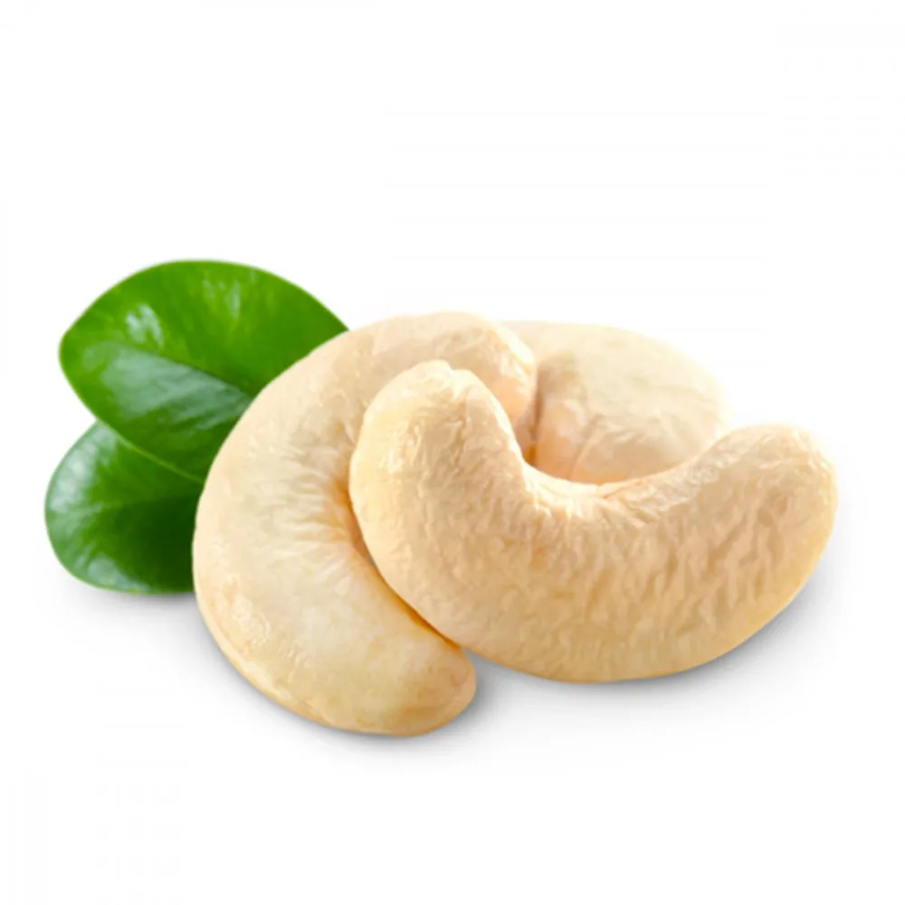Premium Sri Lankan cashew nuts for export
