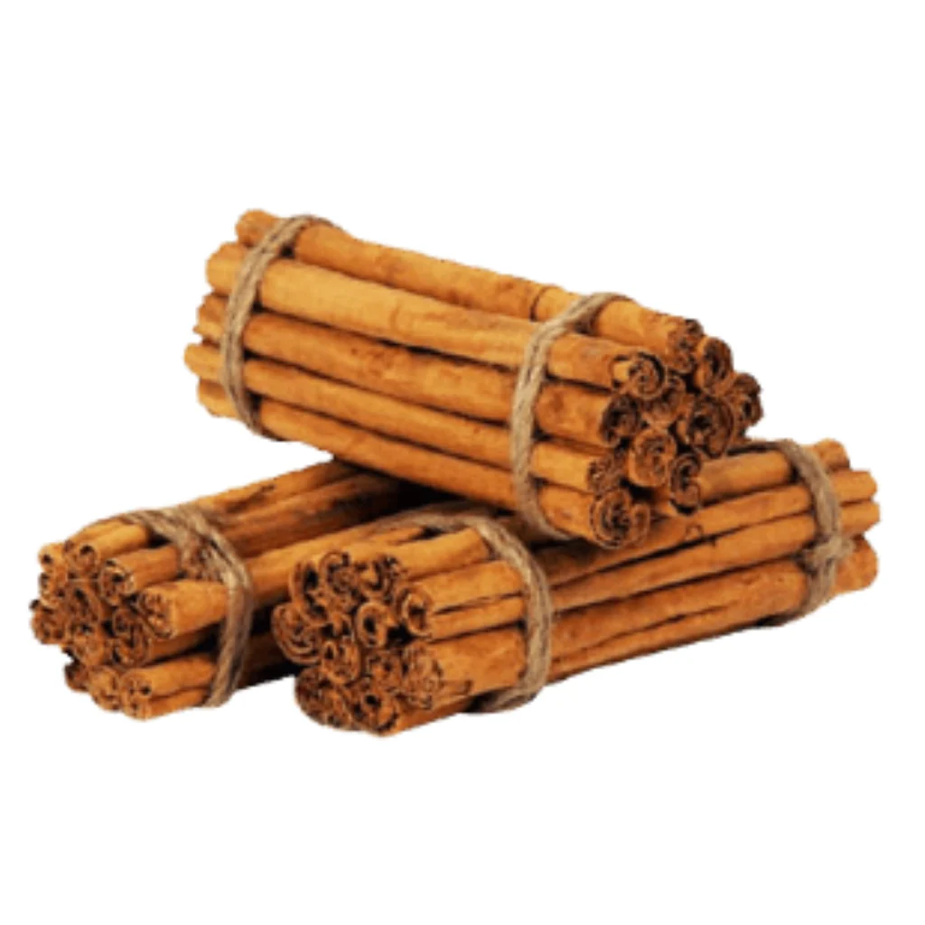 Bundles of premium Ceylon cinnamon sticks from Sri Lanka
