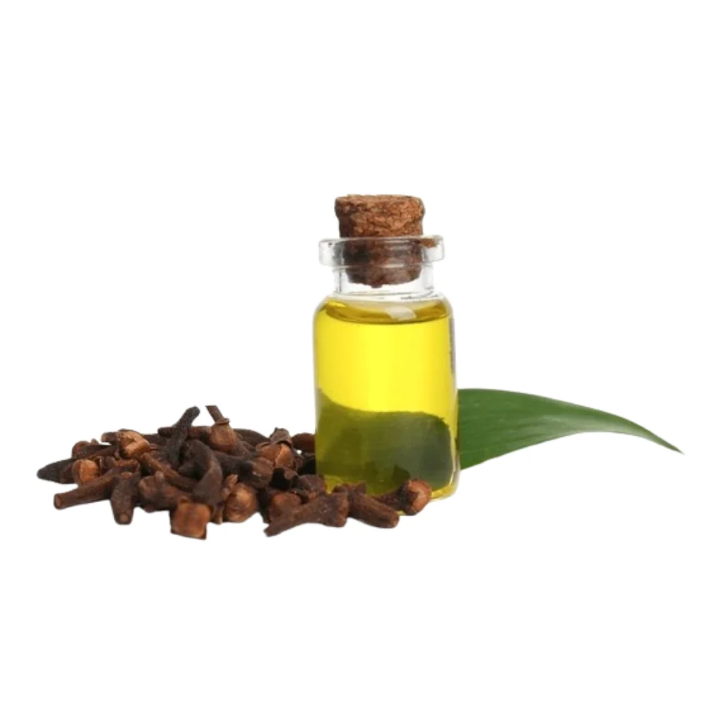 Pure clove oil product for export from Sri Lanka