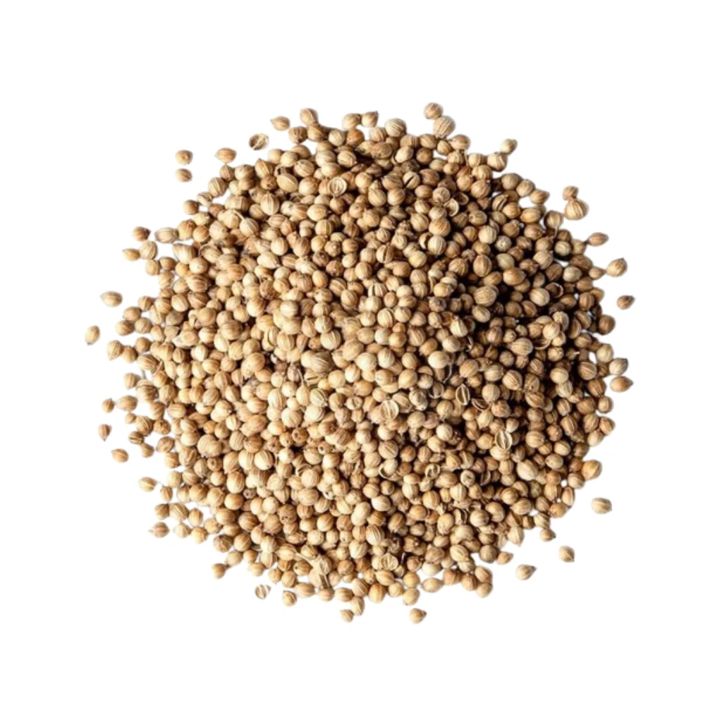Coriander seeds from Sri Lanka for spice export