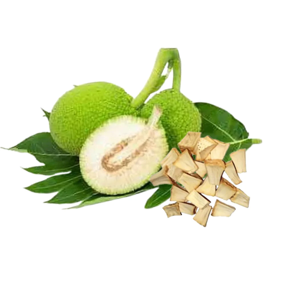 Dehydrated breadfruit for Sri Lankan food export