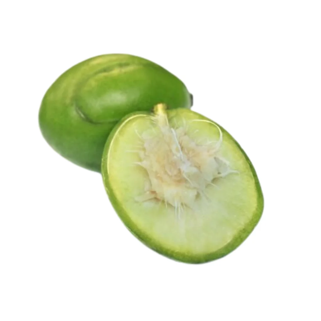 Dehydrated hog plum for Sri Lankan food export