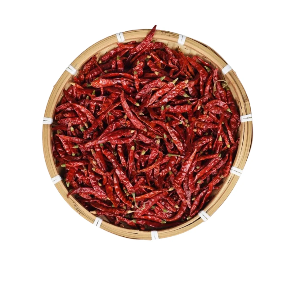 Dried red chili pods for bulk export