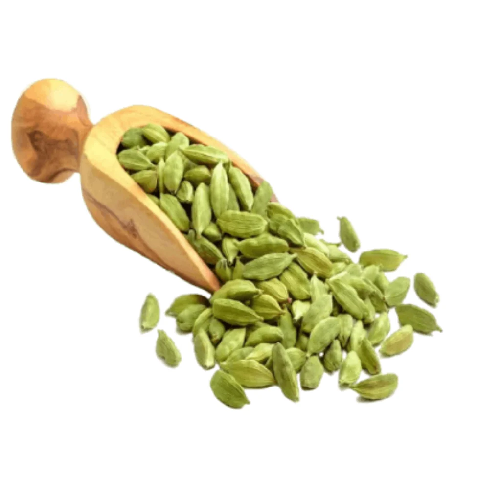 Green cardamom from Sri Lanka for spice export