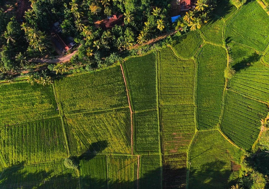 Farm produce being transported through a Sri Lankan highland landscape