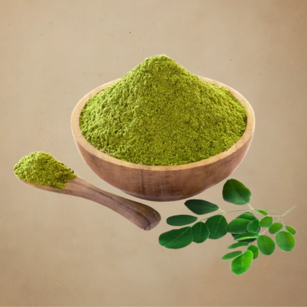 Organic moringa powder in a bowl with fresh moringa leaves